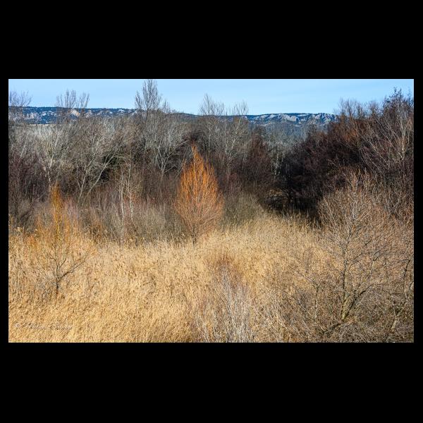 PHOTO84, CLUB, 84 , LUBERON